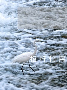 招行信用卡逾期 停卡 招行信用卡逾期 停卡
